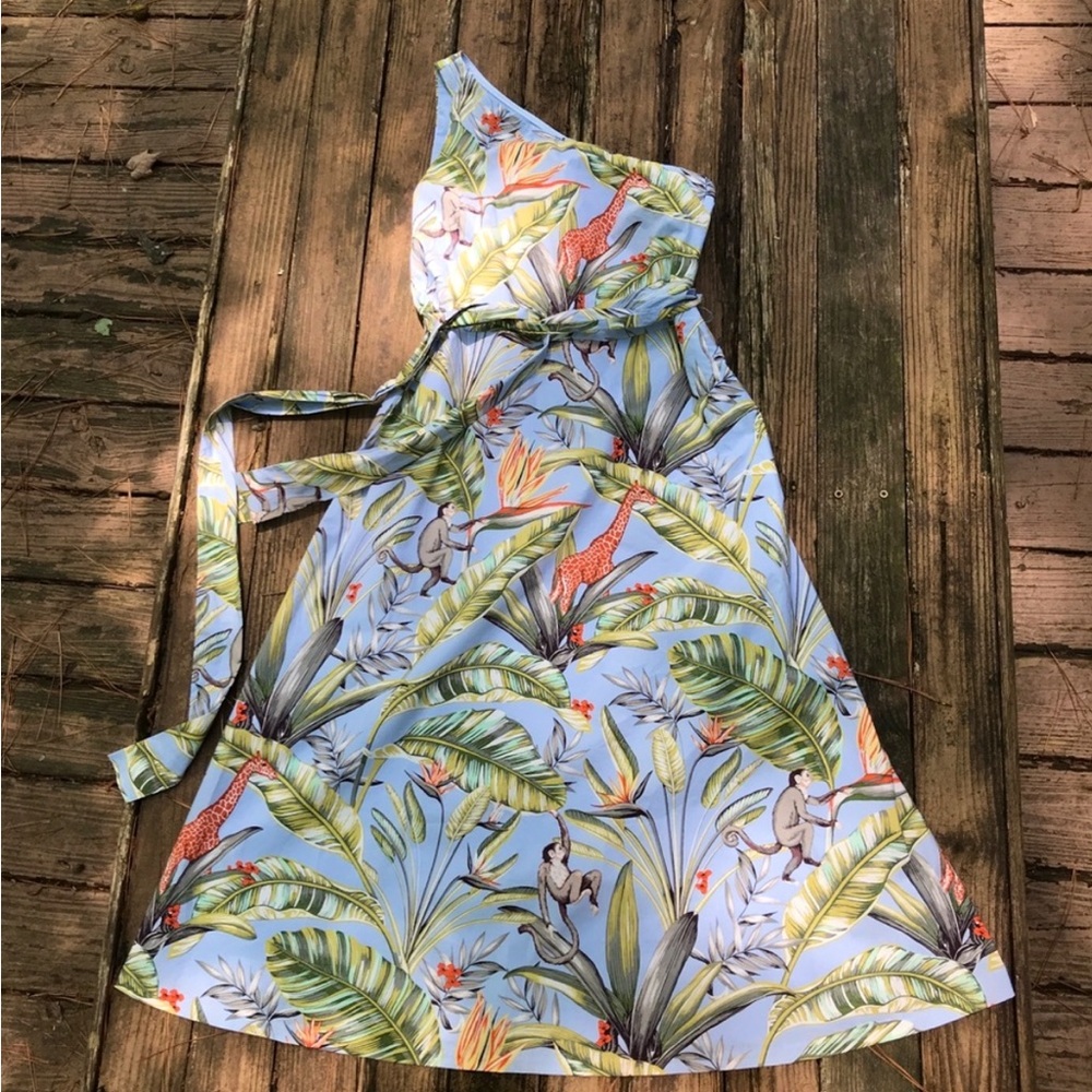 Ann Taylor One Shoulder Midi Dress- Montauk